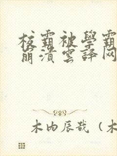 校霸被学霸玩到崩溃云译网