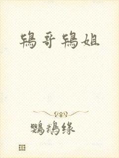 鸨哥鸨姐