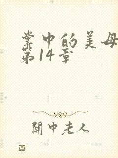 掌中的美母版主第14章封面