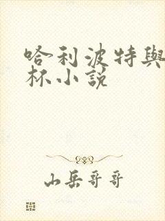 哈利波特与火焰杯小说