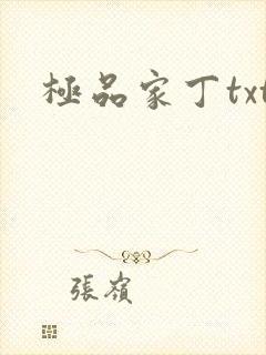 极品家丁txt封面