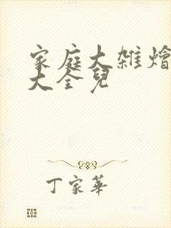 家庭大杂烩小说大全儿封面