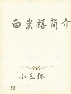 白崇禧简介封面