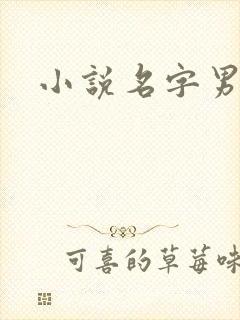 小说名字男生