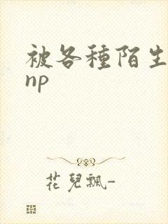 被各种陌生人 np