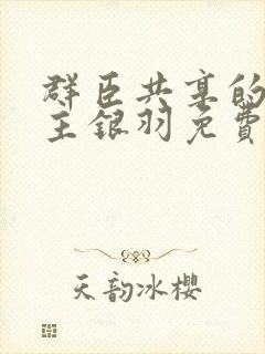 群臣共享的小公主银羽免费阅读封面