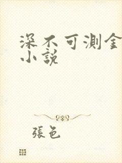 深不可测金银花小说
