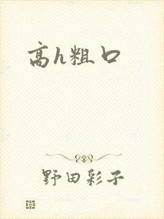 高h粗口