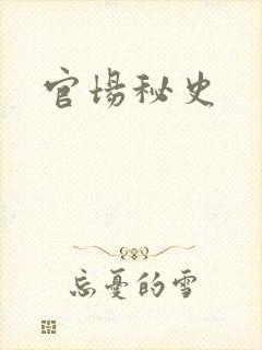 官场秘史