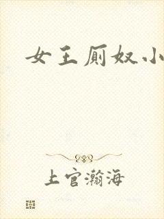 女王厕奴小说封面