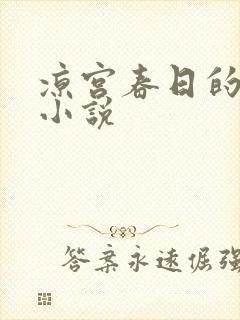 凉宫春日的忧郁小说