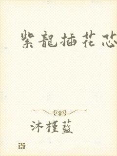 紫龙插花芯方正