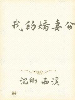 我的娇妻公务员封面