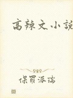 高辣文小说
