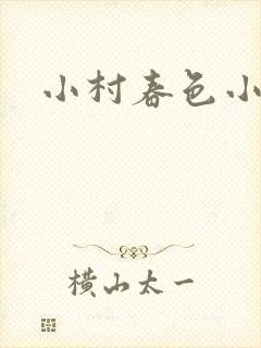 小村春色小说