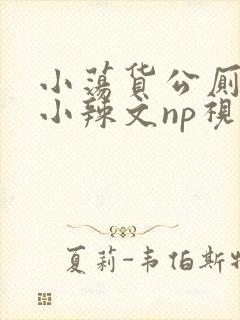 小荡货公厕h文小辣文np视频