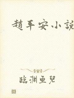 赵平安小说主角