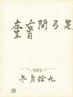 左右开弓是什么生肖封面