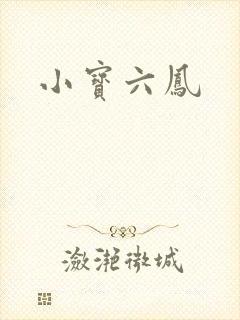 小宝六凤