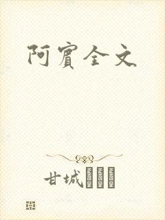 阿宾全文