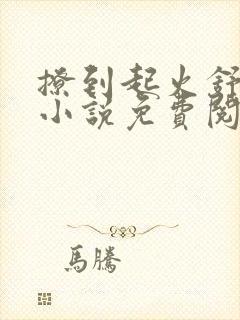 撩到起火舒漾的小说免费阅读全文