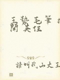 玉势 毛笔 撑开 夹住封面