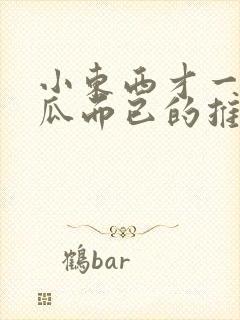 小东西才一根黄瓜而已的推荐书