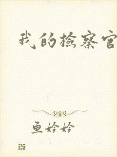 我的检察官先生