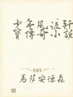 少年风流轩辕大宝传奇小说