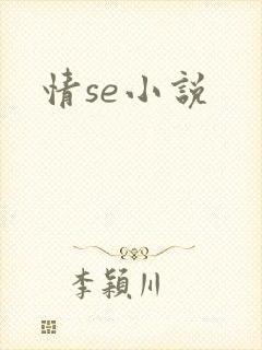 情se小说