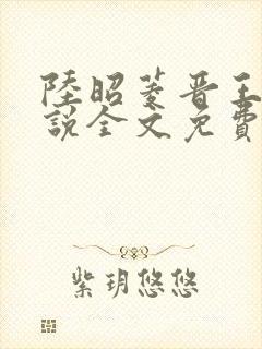 陆昭菱晋王的小说全文免费阅读