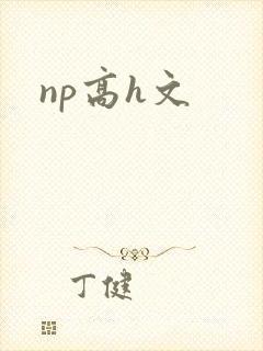 np高h文