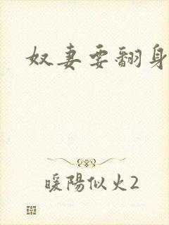 奴妻要翻身封面