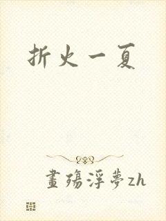 折火一夏封面