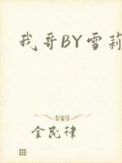 我哥BY雪莉封面