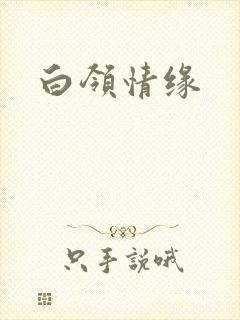白领情缘