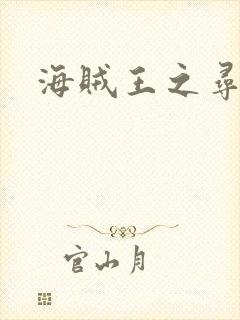 海贼王之寻亲记