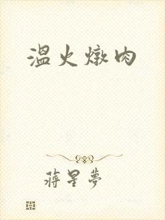 温火炖肉