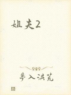 姐夫2