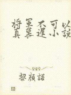 将军不可以魏云真慕迟小说笔趣阁