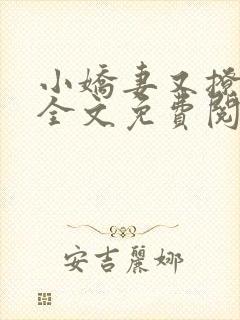 小娇妻又撩又甜全文免费阅读封面
