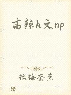高辣h文np