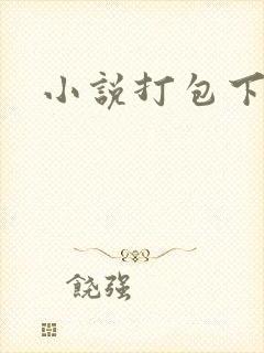 小说打包下载