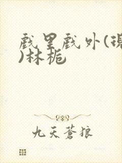 戏里戏外(现场)林栀