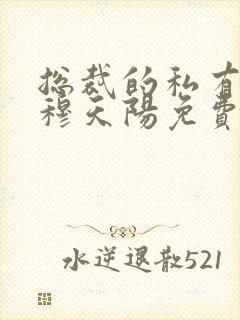 总裁的私有宝贝穆天阳免费