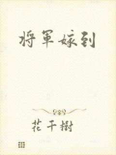 将军嫁到