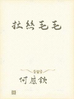 拉丝毛毛封面