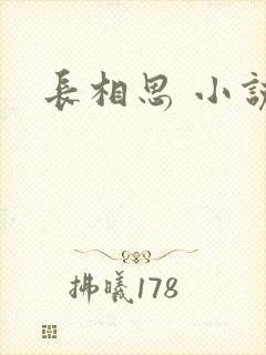长相思 小说
