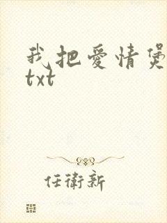 我把爱情煲成汤txt