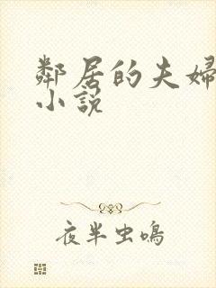 邻居的夫妇交换小说